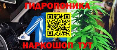 молекула духа Рузаевка
