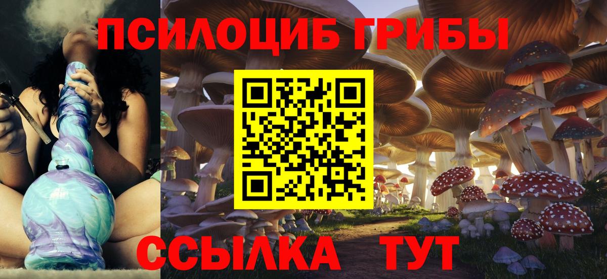 Обь  Псилоцибиновые грибы мицелий  Вход с VPN  где купить наркоту  Псилоцибиновые грибы GOLDEN TEACHER 